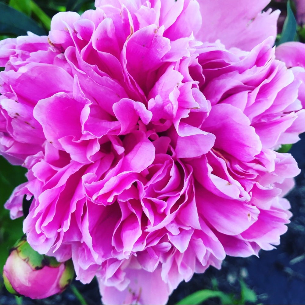 Meet your Posher, Kim